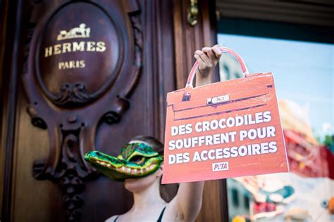 peta online petition hermes|International Campaign Urges Hermès to Ban Exotic Skins .